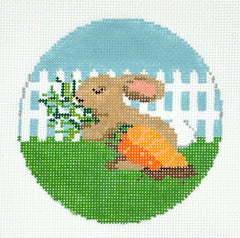 The Gingham Stitchery #MS36 Bunny