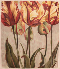 Susan Roberts TTAP411-13 Asiatic Tulips